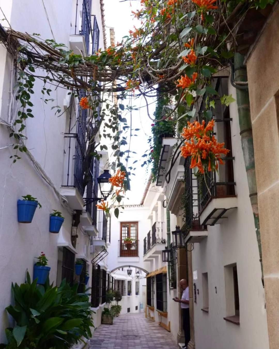 شقة Casa La Tapita ماربيا المظهر الخارجي الصورة